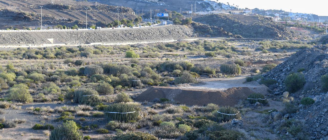 Terrenos en el barranco de El Veril donde se proyecta construir el Siam Park de Gran Canaria