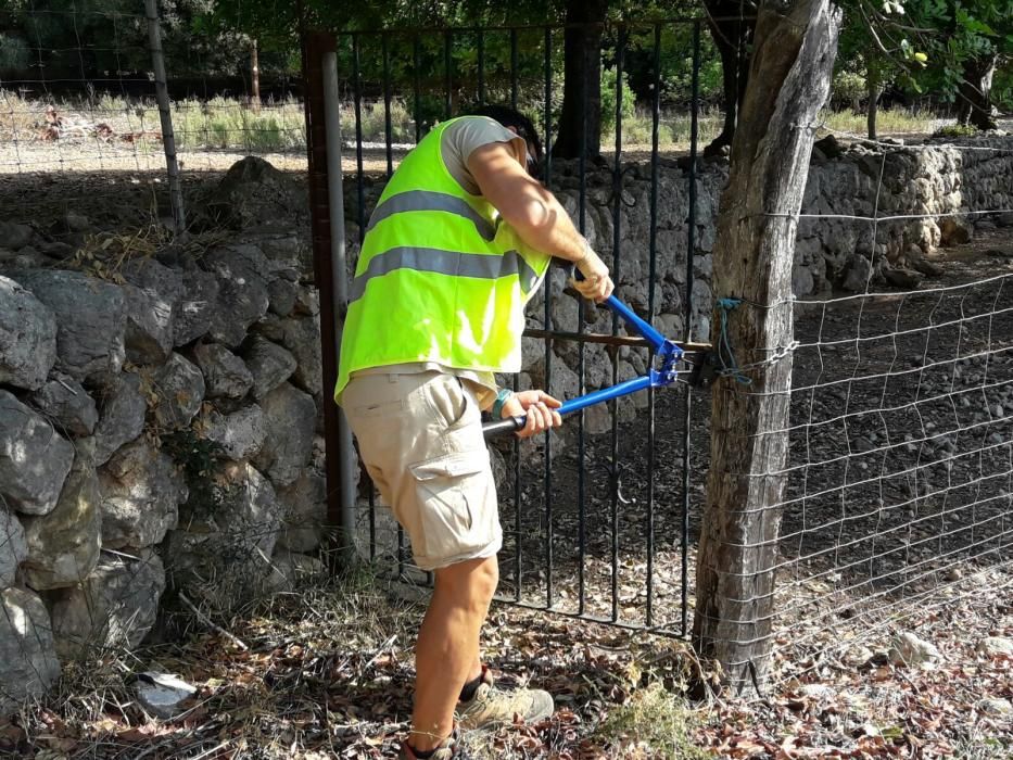 Apertura del camino público de la carreteta vieja Lluc Pollença