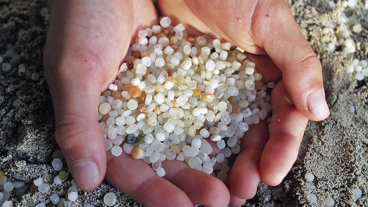 Microplásticos recogidos en aguas de Baleares