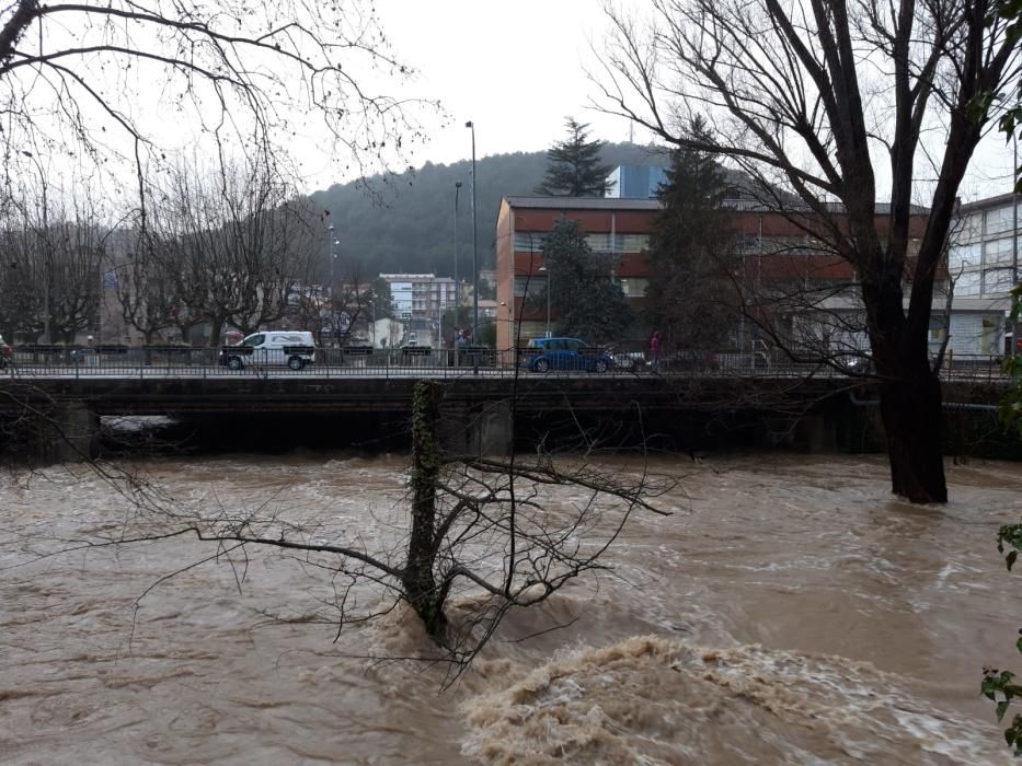 El riu Fluvià al seu pas per Olot