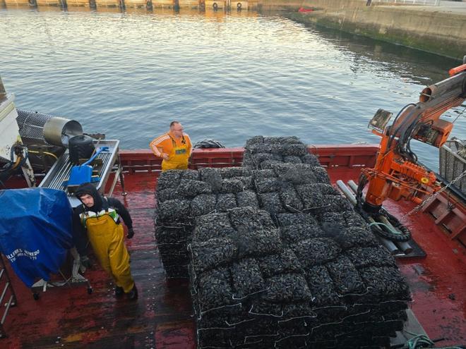Los bateeiros tratan de reponerse de un episodio tóxico aún latente