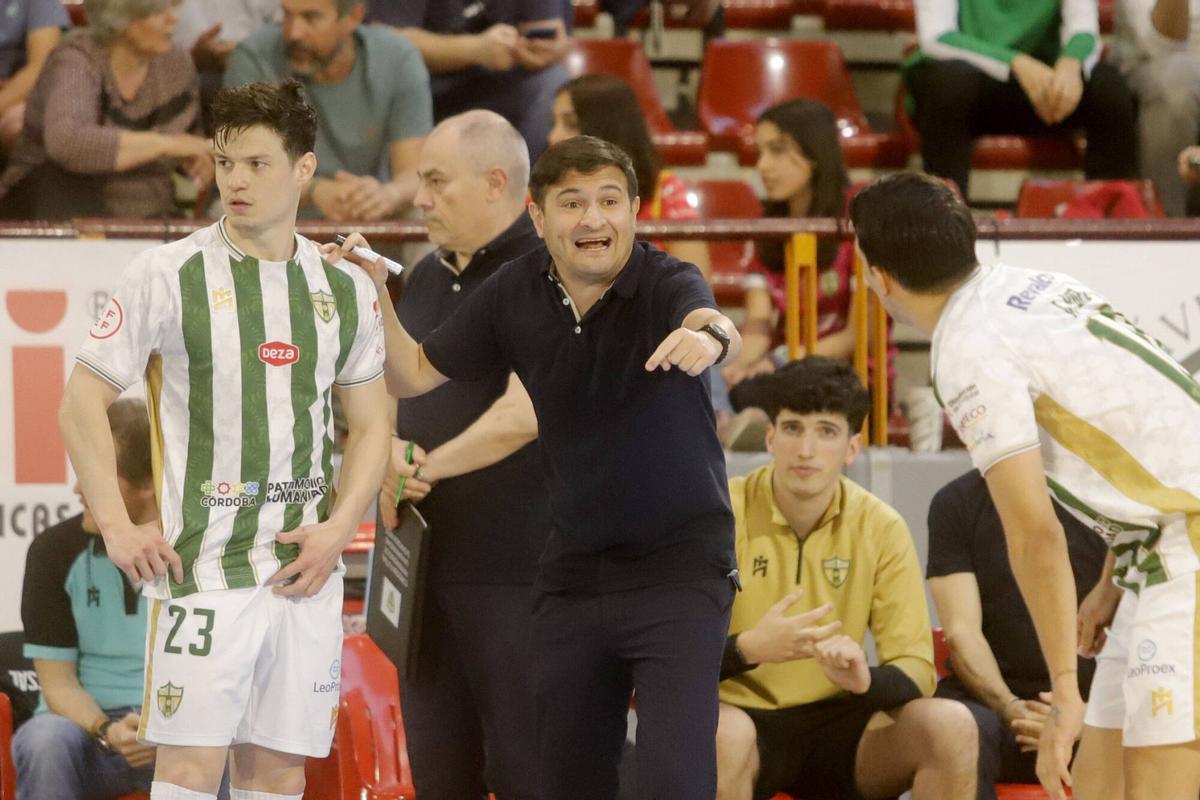 El Córdoba Futsal - Industrias Santa Coloma, en imágenes El Córdoba Futsal - Industrias Santa Coloma, en imágenes