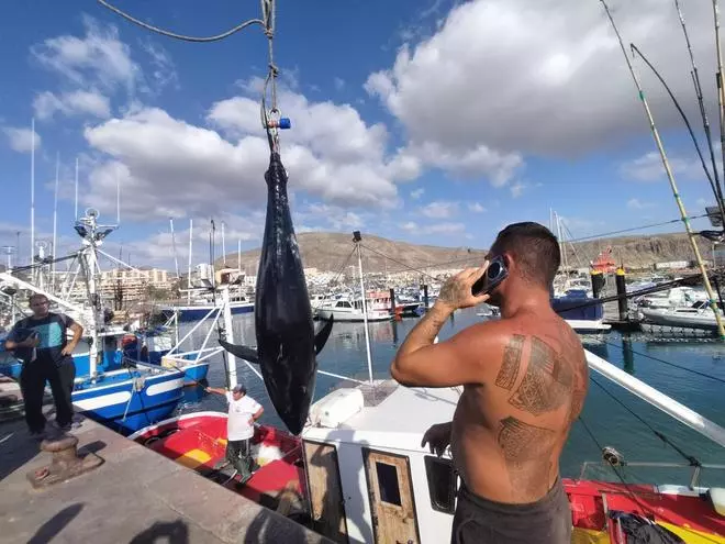 Primeros atunes rojos de la zafra de 2025