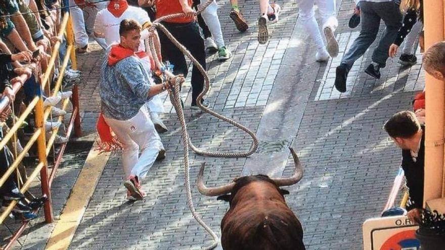 GALERÍA | La provincia de Zamora acogió 235 festejos taurinos, mayores y populares, en 2025