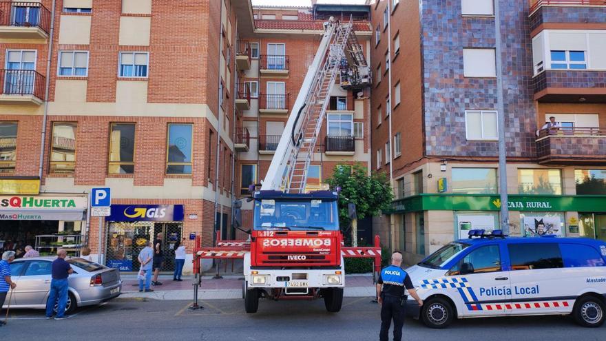 Bomberos de Benavente intentando retirar un enjambre en avenida El Ferial. | E. P.