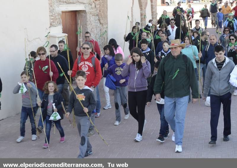 GALERÍA DE FOTOS - Romería Magdalena 2014 (2)