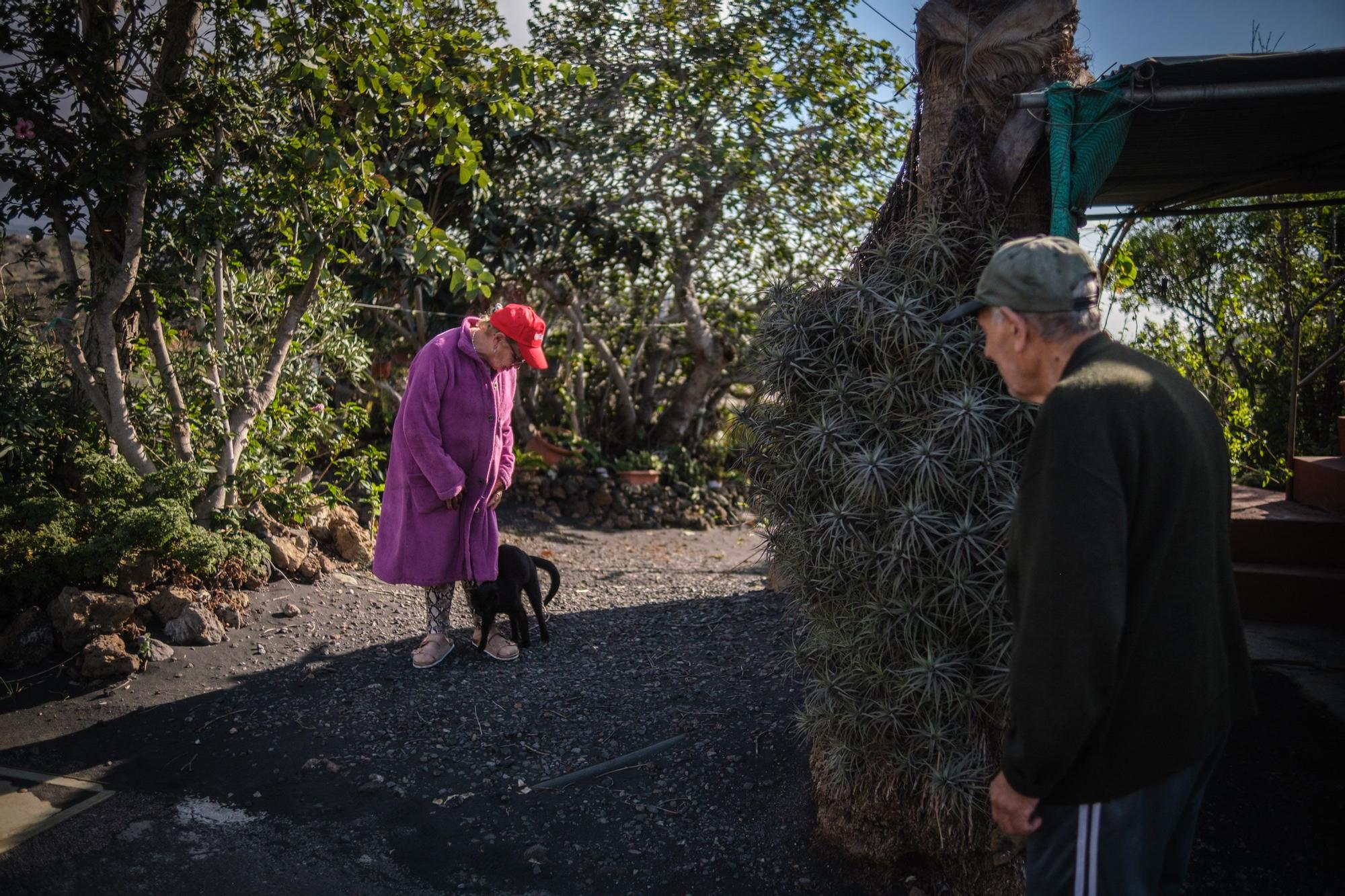 Regreso a casa de vecinos afectados por el volcán de La Palma.