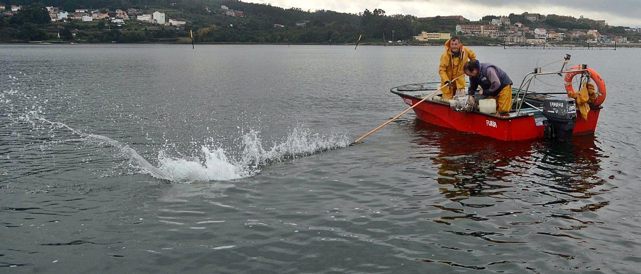 Participantes en la decepcionante campaña de libre marisqueo en Os Lombos do Ulla. |   //  NOÉ PARGA