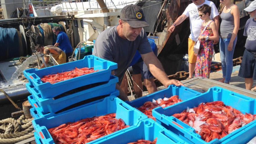 Pescadors, treballant al port de Blanes