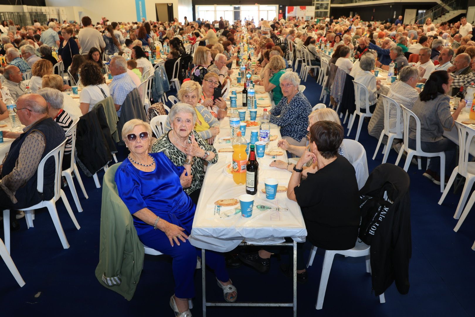 FOTOGALERÍA I Las imágenes de la sexta jornada (miércoles) de las fiestas patronales de Sant Pasqual en Vila-real