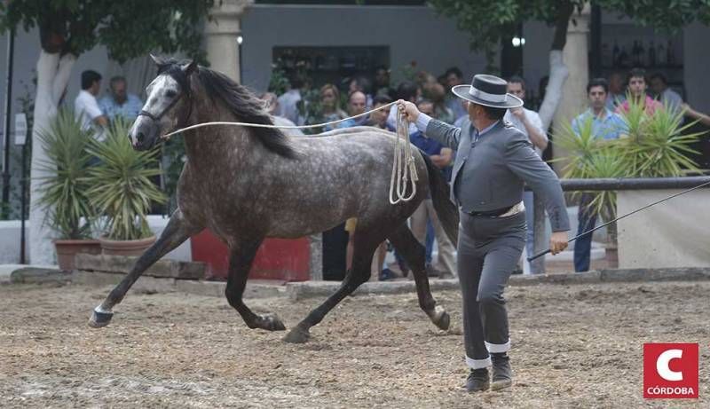 Calbacor 2014 abre sus puertas