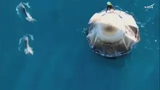 Un grupo delfines da la bienvenida a la Tierra a los astronautas atrapados en la Estación Espacial Internacional
