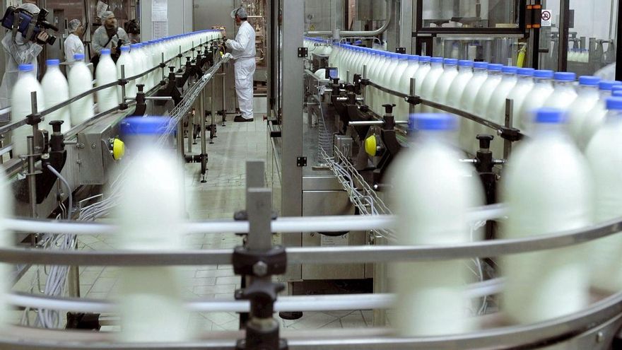 Estas son las diferencias entre la leche sin lactosa y la leche con lactosa