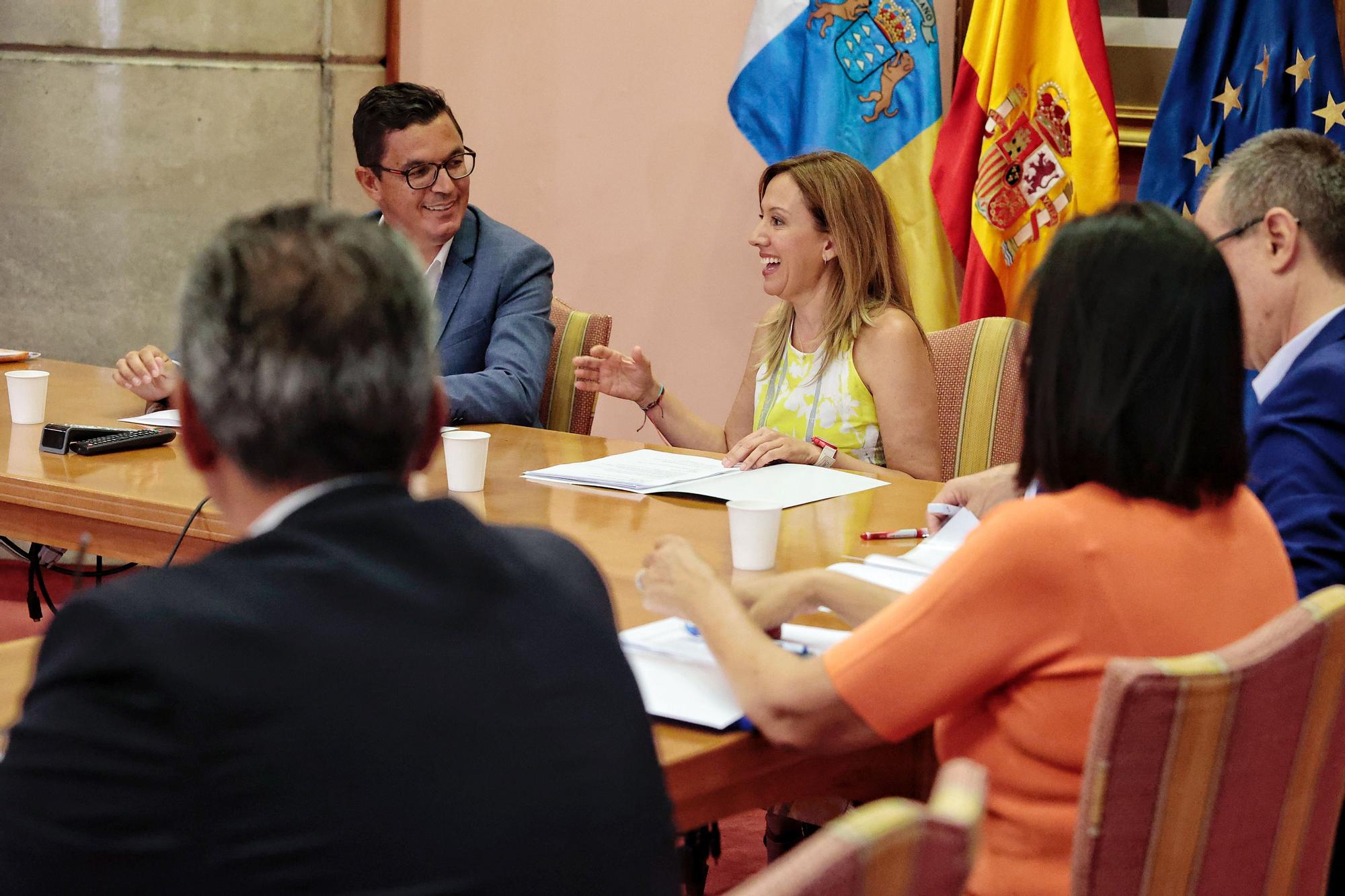 Reunión entre el consejero del Gobierno de Canarias, Pablo Rodríguez y la presidenta insular, Rosa Dávila.