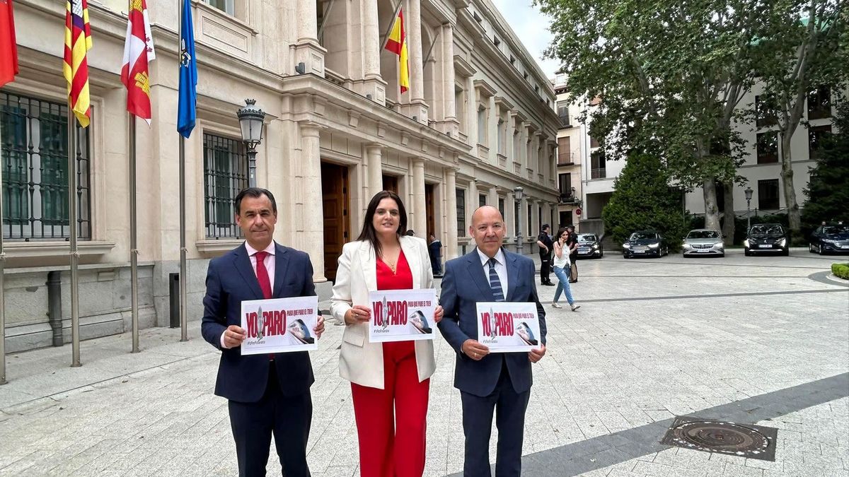 Los senadores Maíllo, Ucero y Barrios "paran" delante de la Cámara Alta.