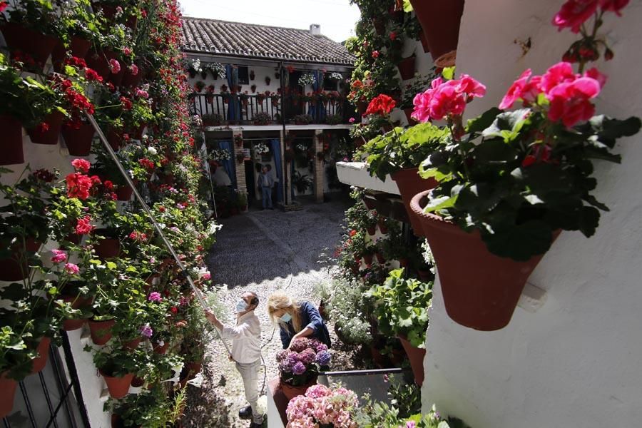 Los Patios de Córdoba (2)