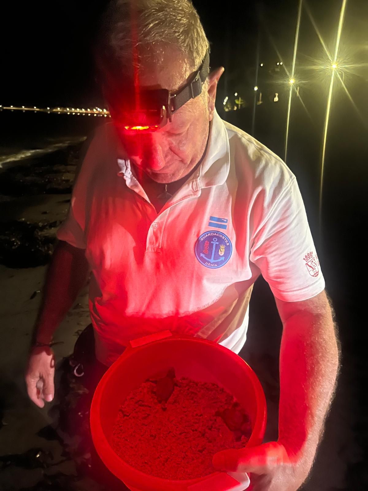 El milagro de la vida en una playa de Dénia: las imágenes del nacimiento de 98 tortugas