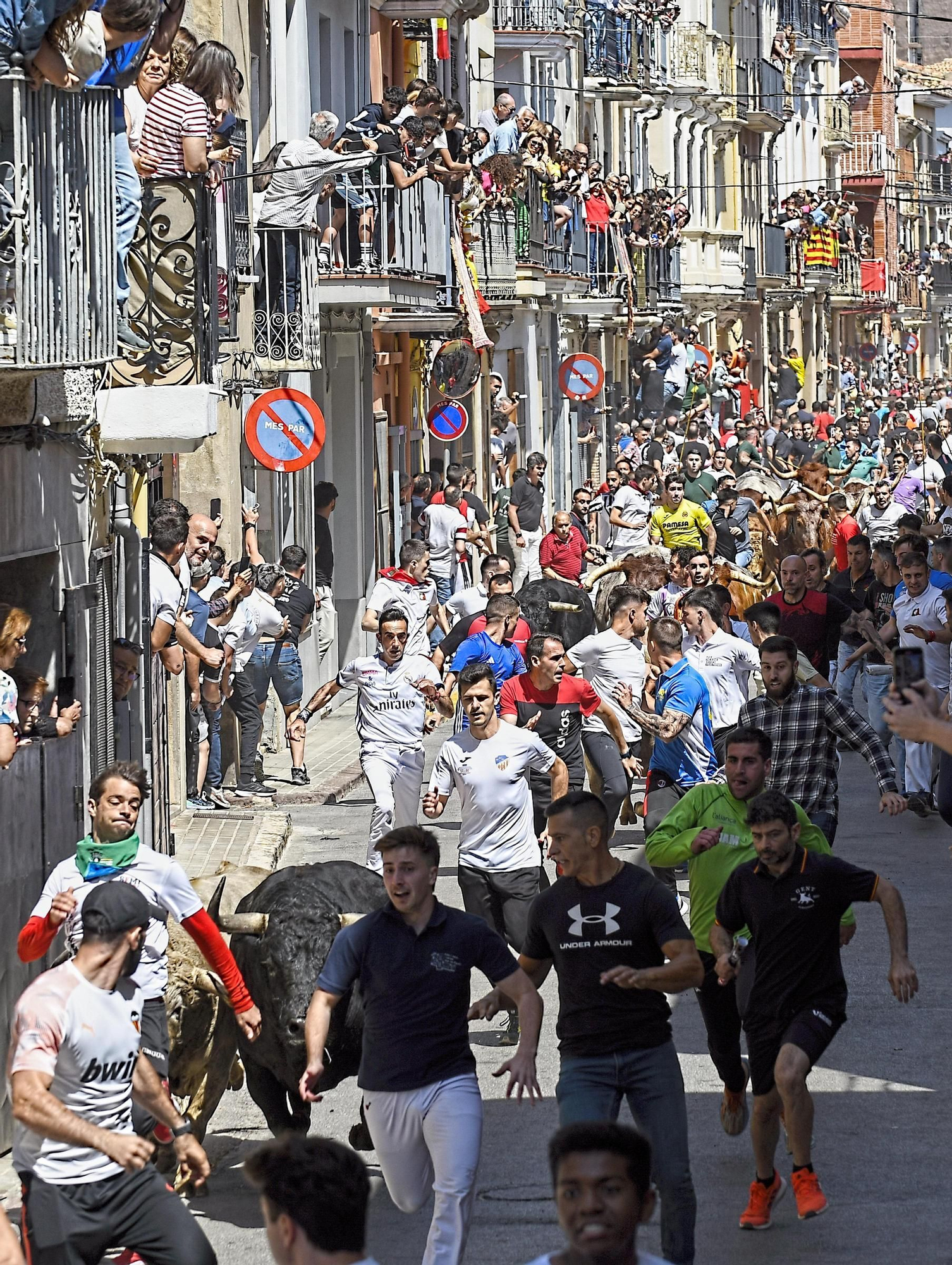 MACROGALERÍA DE FOTOS: Búscate en el encierro y los primeros 'bous' de las fiestas de Almassora