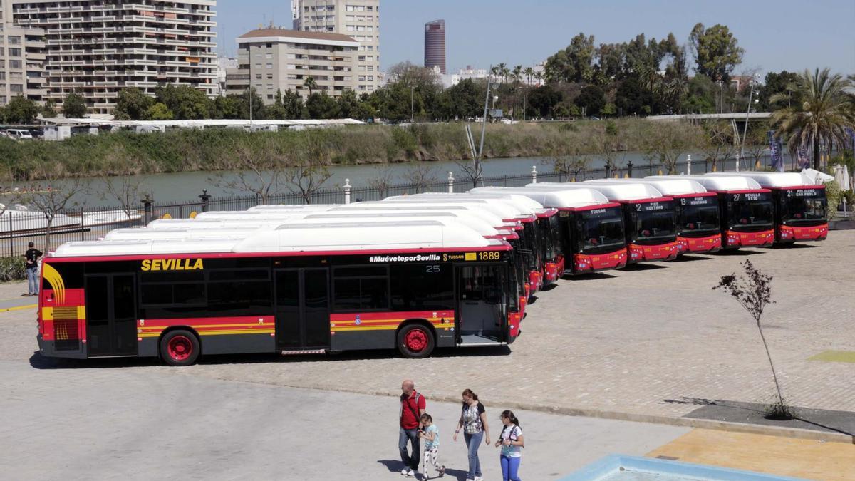 Tussam presentó en mayo sus autobuses propulsados por gas natural, otra apuesta por las energías renovables. / José Luis Montero