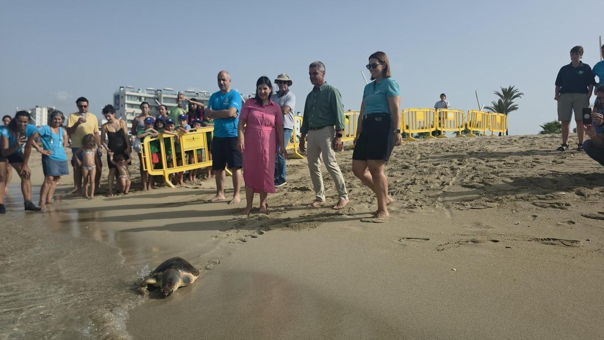 Nuras Weg in die Freiheit: Meeresschildkröte darf an der Playa de Palma zurück ins Meer