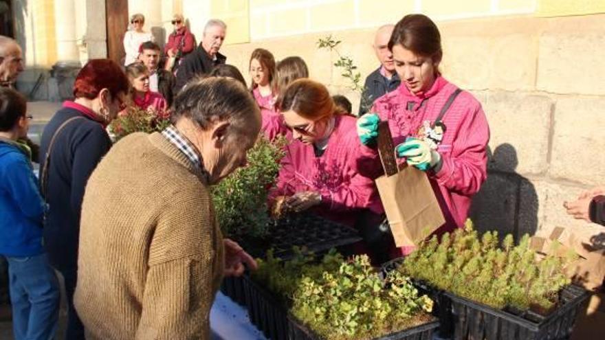 Reparto de plantones en San Vicente