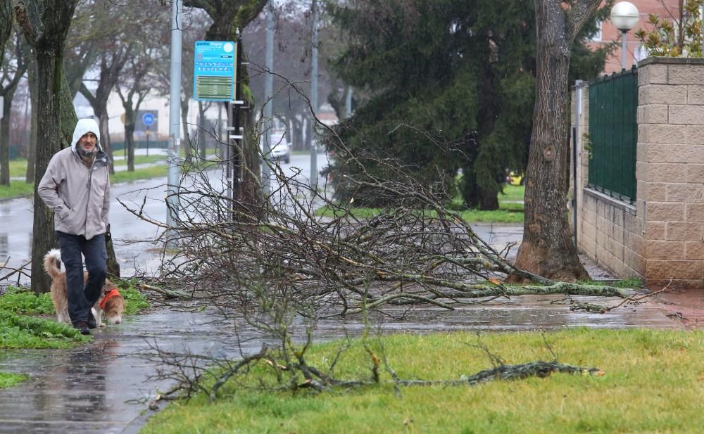 Temporal en León, Palencia y Valladolid