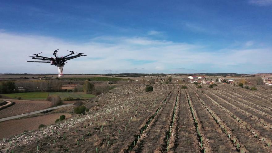 Así serán los bosques gigantes que Iberdrola creará en dos pueblos de Zamora