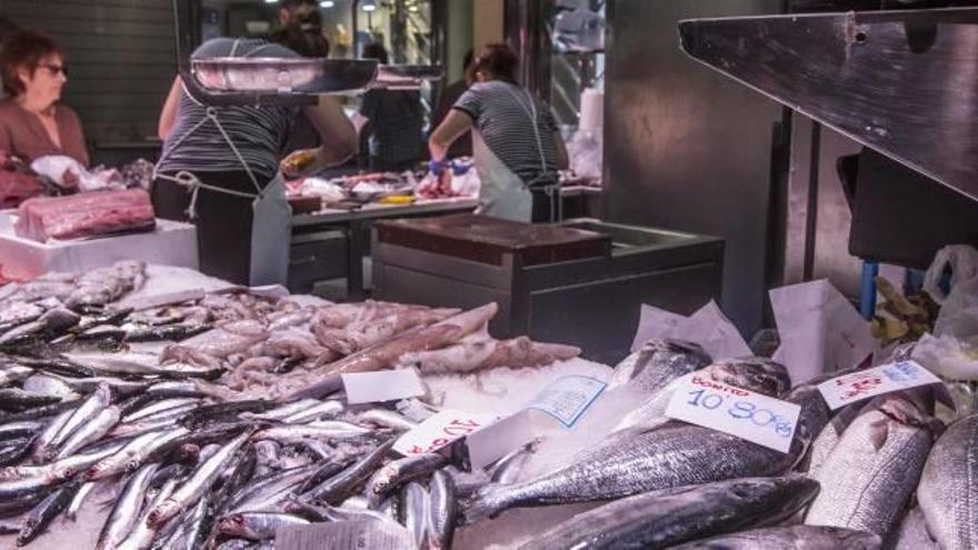 23 kilos de pescado por alicantino, y España la primera consumidora de  Europa - Información