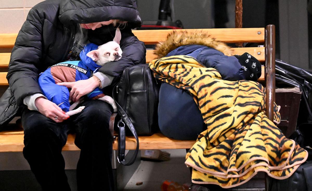 Una joven refugiada ucraniana y su perro duermen en un banco en la estación de tren de Zahony, en Hungría.