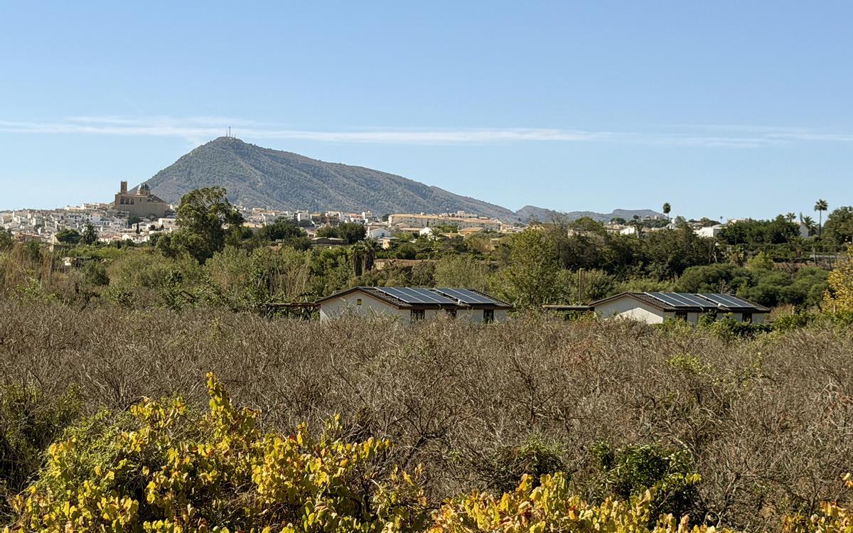 La vegetación impide ver claramente las viviendas prefabricadas del asentamiento de La Pila en Altea.