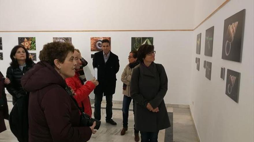 Exposición de fotografía en el Jardín Botánico