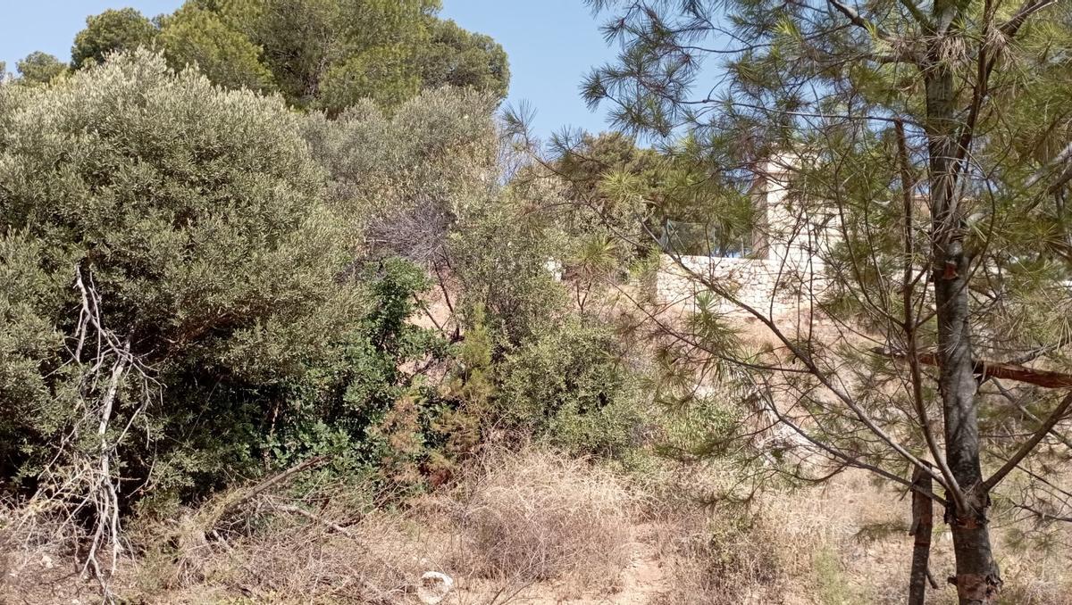 Otra vista de los terrenos, en el monte del Colegio Las Esclavas, esta semana.