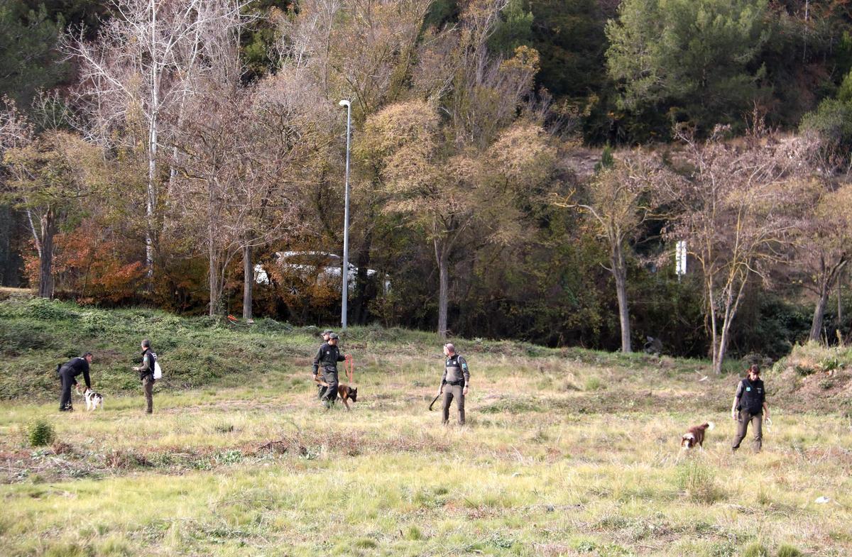 Agentes Rurales junto con los perros en la búsqueda de jabalís muertos