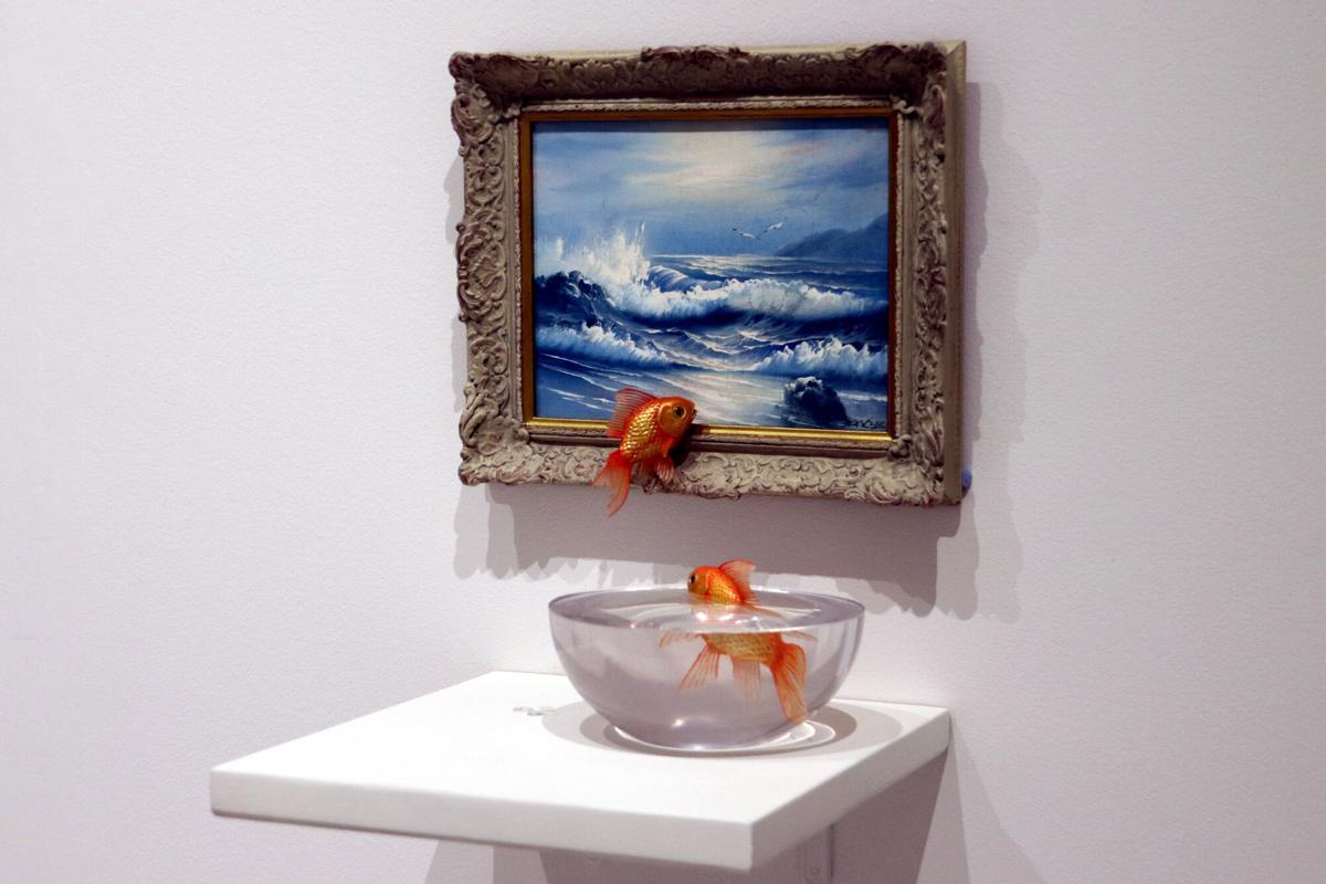 El Museo Moco presenta la exposición 'Banksy. Disrupted Power', que reúne 25 obras, algunas de ellas recientes, del artista británico.