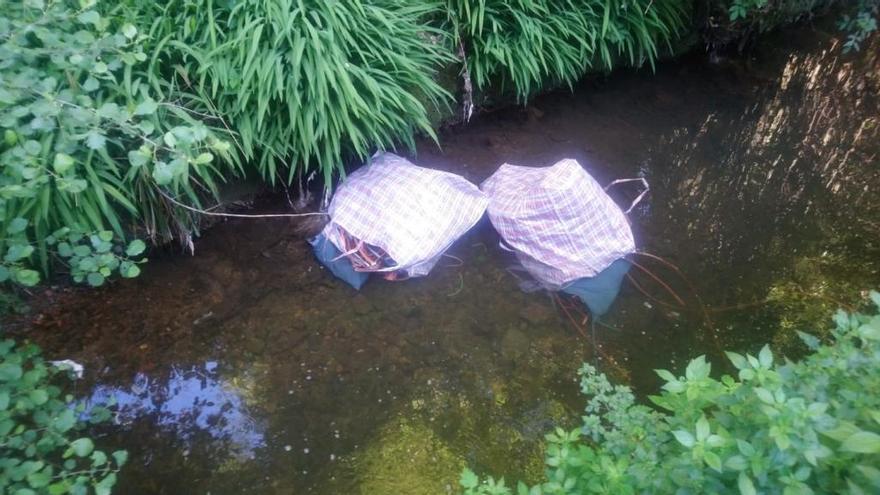 Las bolsas con carcasas de plástico halladas en el río Arlós, a la altura de Corvera.