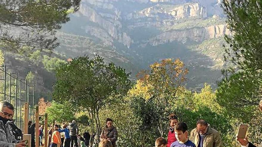 Plantada d&#039;arbres que es va fer ahir a la zona propera al pavelló