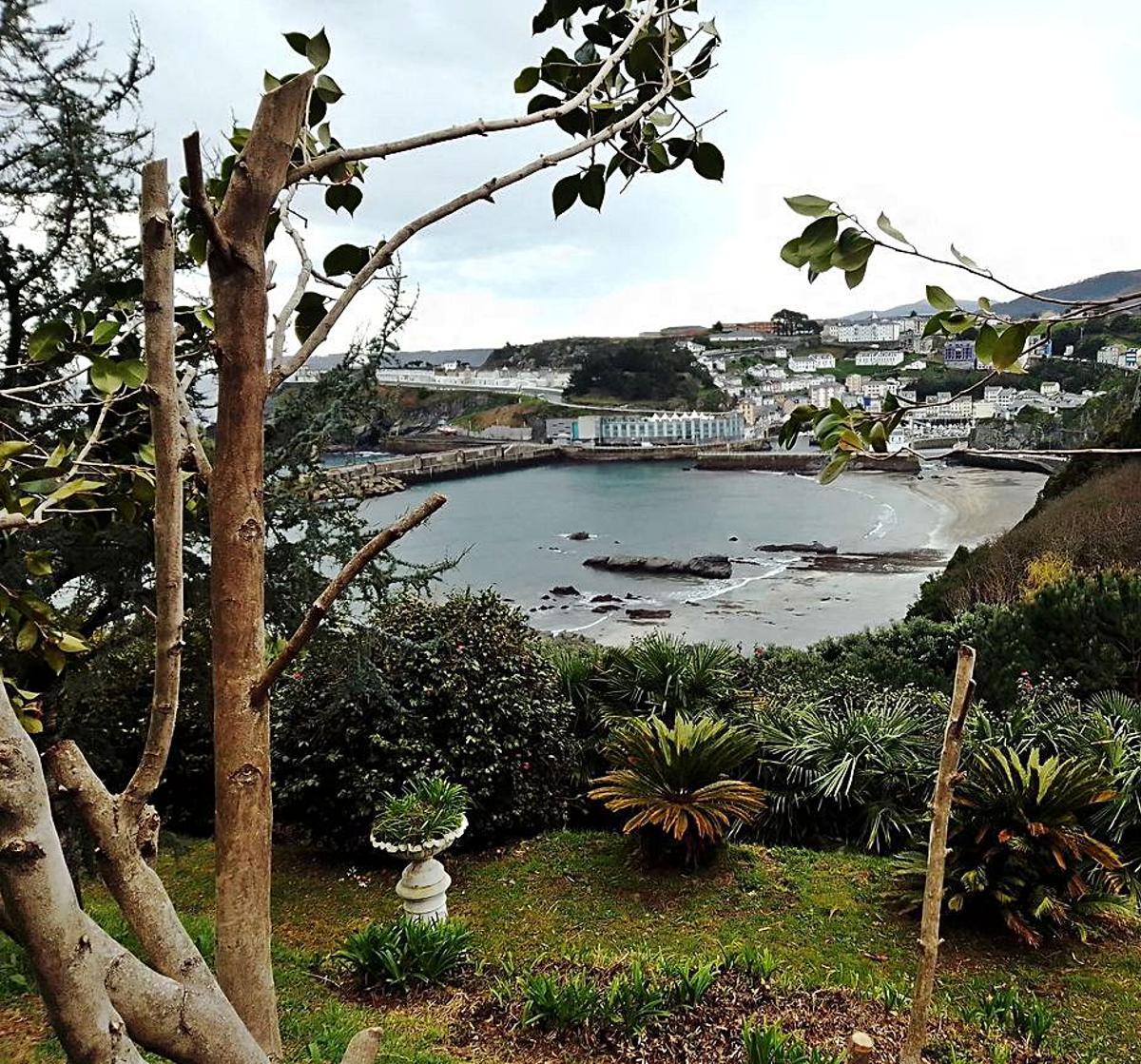 Vista del bosque-jardín. | A. M. Serrano