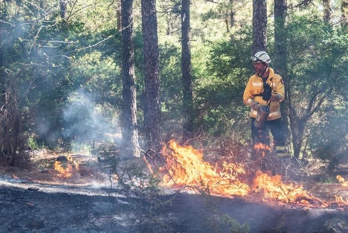 La UME realiza prácticas de prevención de incendios en Gran Canaria