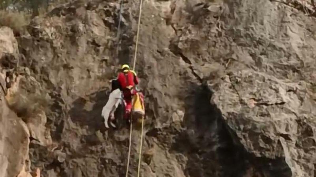 Impresionante maniobra de altura para rescatar a dos cabras en un monte de Castellón