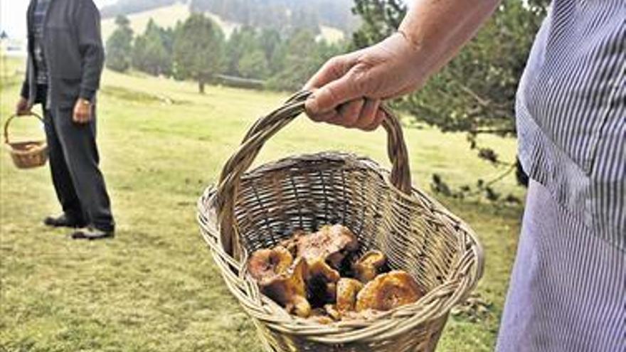 La campaña de las setas llena los restaurantes del interior