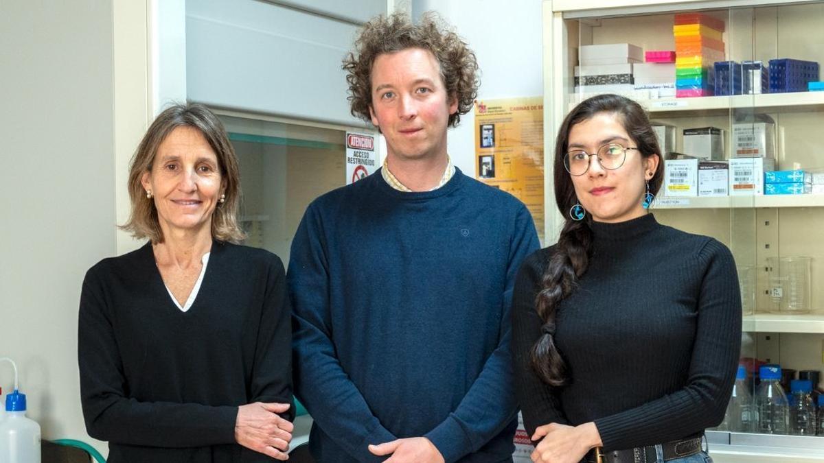 Investigadores principales del proyecto sobre memoria espacial desarrollado por el Instituto de Neurociencias de la UMH de Elche y el CSIC