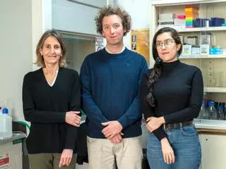Un hallazgo en la Universidad Miguel Hernández de Elche abre una nueva vía para entender la esquizofrenia