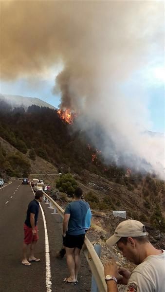 Incendio forestal en la zona de Las Manchas, en La Palma