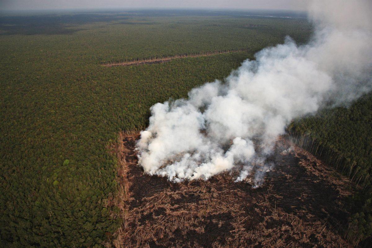 Incendio en el Amazonas