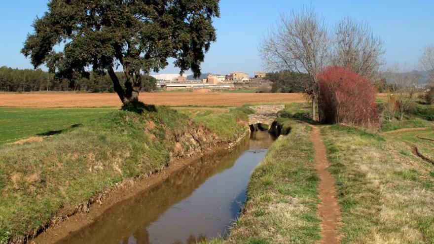 Un paratge del canal de la Sèquia