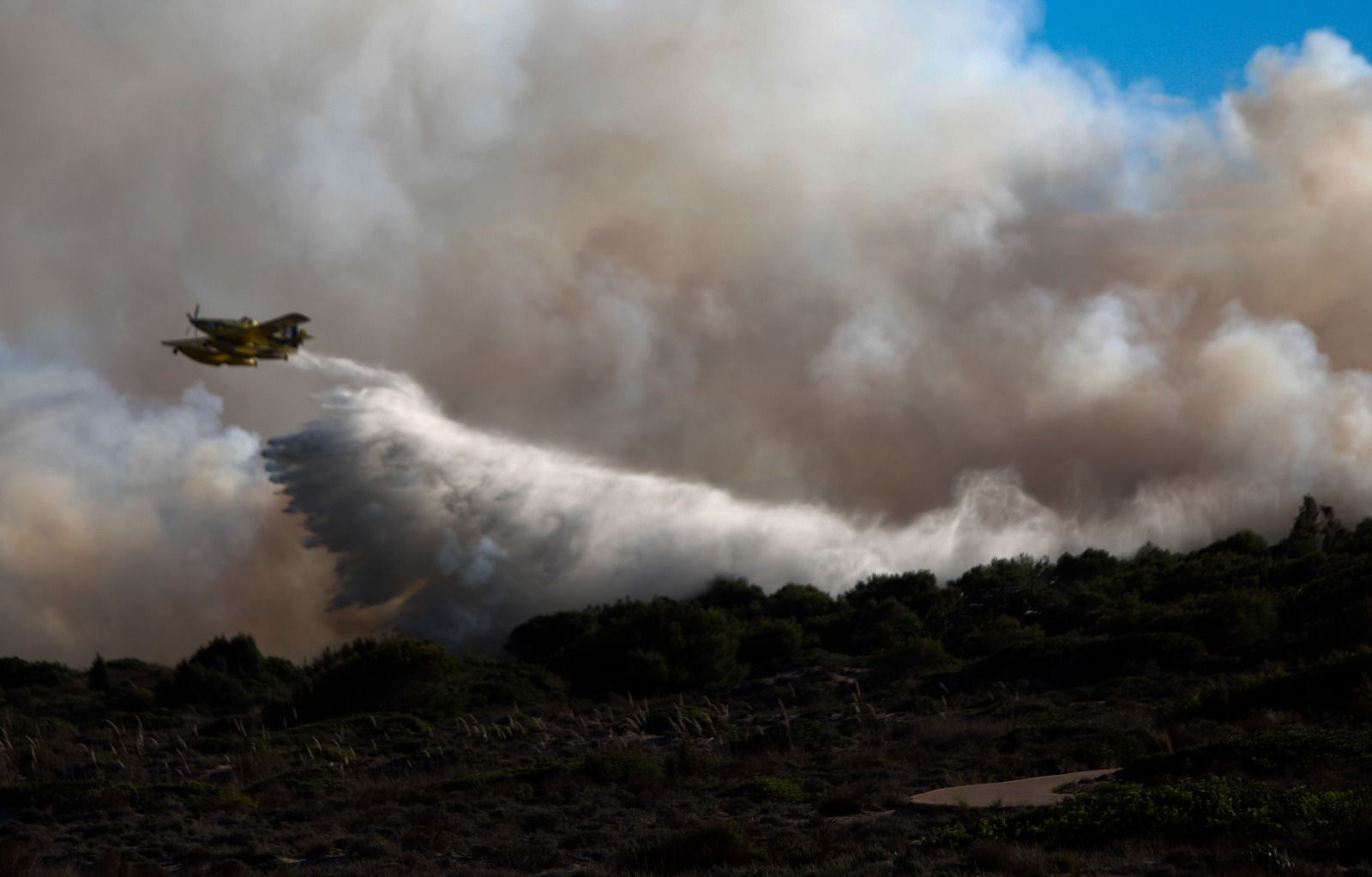 El incendio forestal del Saler, en imágenes