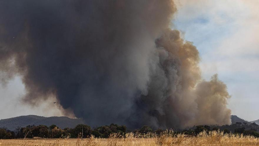 Voluntaris de Cruïlles rescaten més d'un centenar d'animals que estaven en zones properes a l'incendi