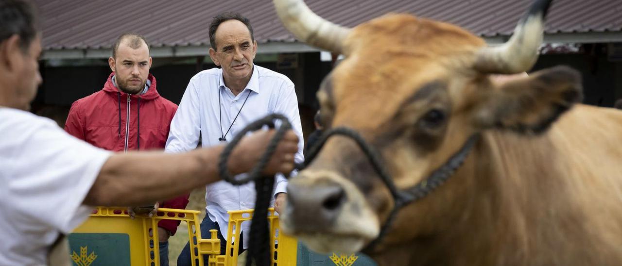 Eliseo López, en el centro, durante la última cita ganadera, acompañado del edil David Rodríguez. | A. Ll.