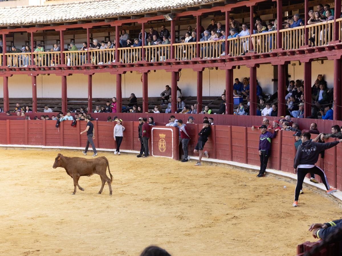 Tradicional Fuente de Vino, San Agustín 2026 Tradicional Fuente de Vino, San Agustín 2026
