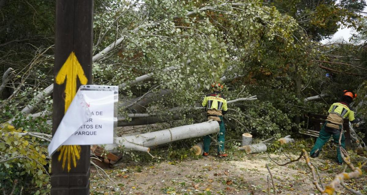 Corta de árboles derribados por el viento, actuaciones de los bomberos y cartel al aire de los 120 años del Mercado de Abastos. | Alba Prieto y José Luis Fernández